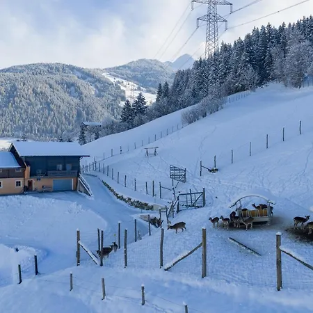 Wildblick Mittersill