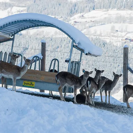 Wildblick Apartman Mittersill