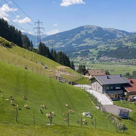 Wildblick Apartmán