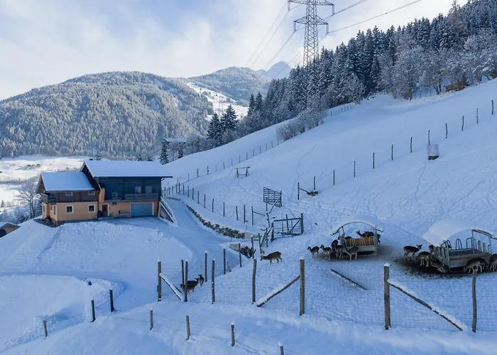 Wildblick Mittersill