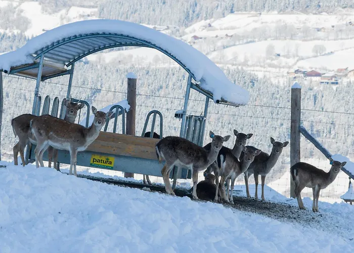 Wildblick Apartman Mittersill