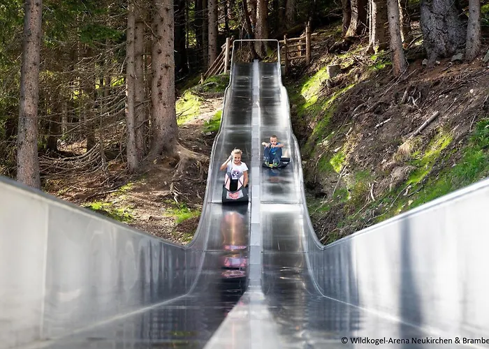 Wildblick * Mittersill